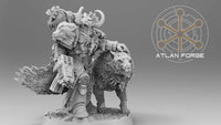 Valen, Commander Asgardien et son familier