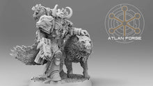 Charger l&#39;image dans la galerie, Valen, Commander Asgardien et son familier
