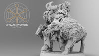 Valen, Commander Asgardien et son familier